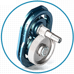 91桃色网站下载