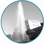 91桃色网站下载