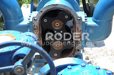 凸輪桃色在线视频观看