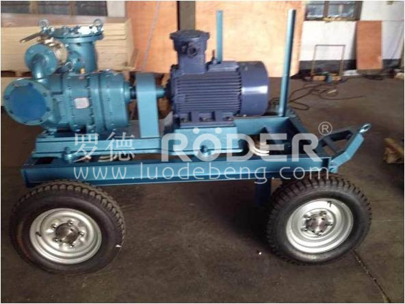 桃色视频在线看