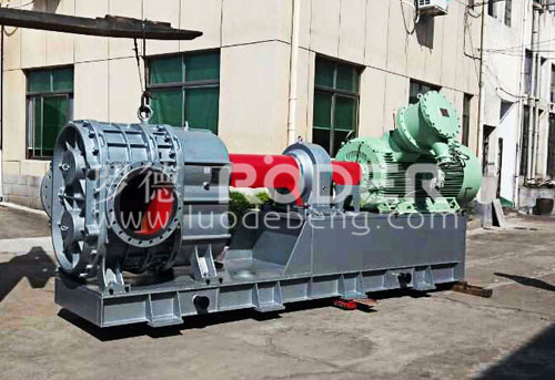 桃色在线视频观看