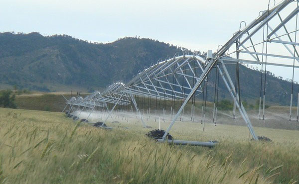 91桃色网站下载桃色视频在线看參與東北節水增糧項目行動
