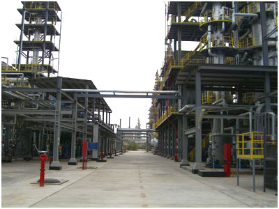 塔裏木油田近景1