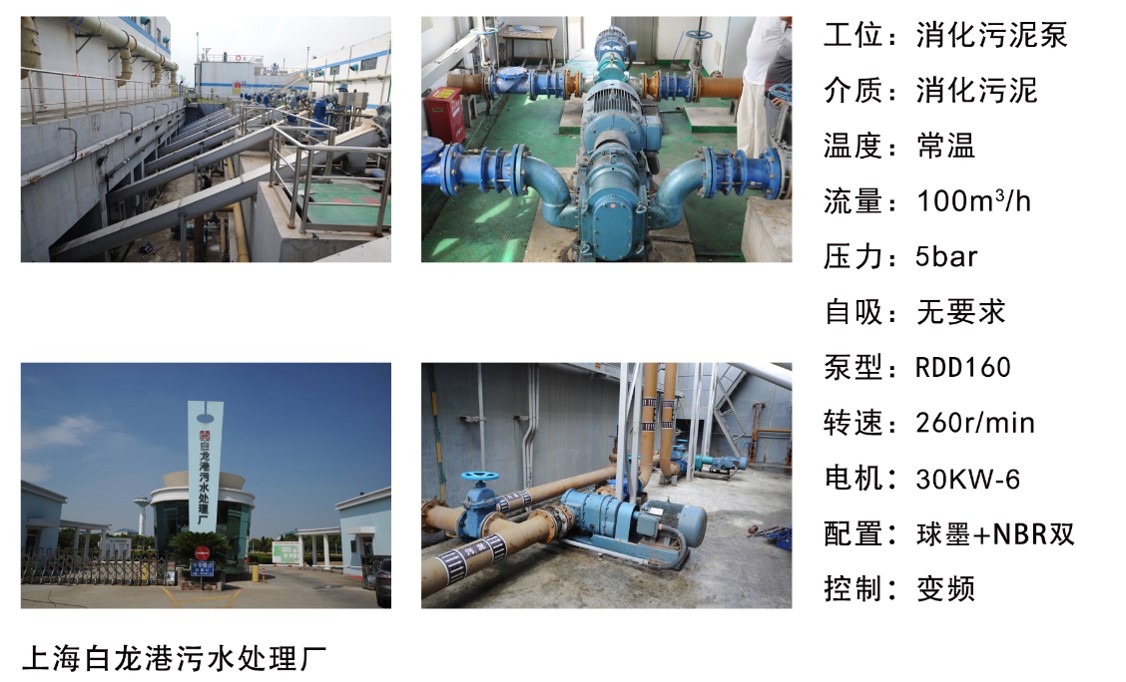 上海白龍港汙水處理廠----消化汙泥泵