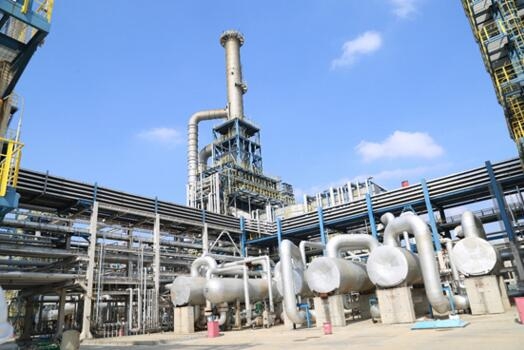 91桃色网站下载凸輪桃色在线视频观看參與的中化泉州一體化項目