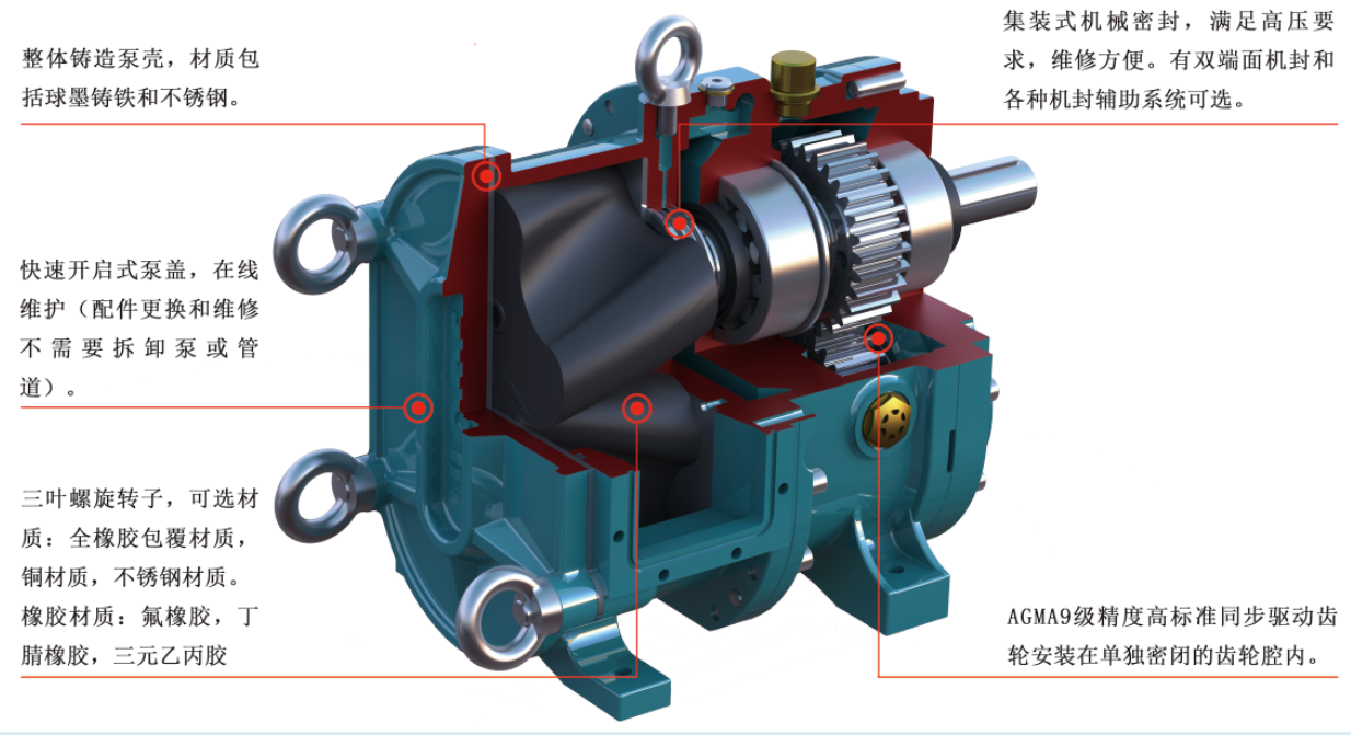 桃色在线视频观看結構