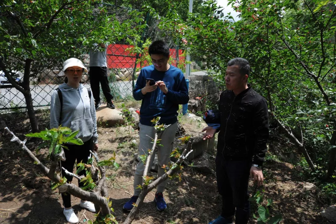 91桃色网站下载春遊 91桃色网站下载春遊