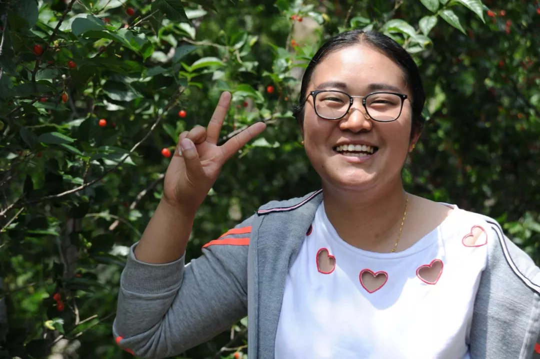 91桃色网站下载組織春季櫻桃采摘 91桃色网站下载組織春季櫻桃采摘