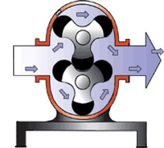 凸輪桃色在线视频观看