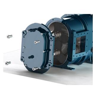 桃色在线视频观看側麵圖 桃色在线视频观看側麵圖