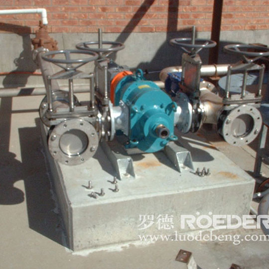 桃色在线视频观看