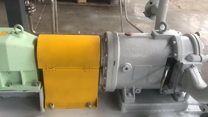 桃色在线视频观看