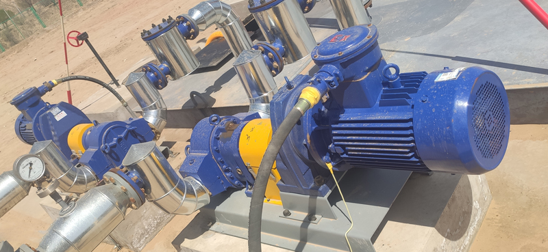 桃色在线视频观看