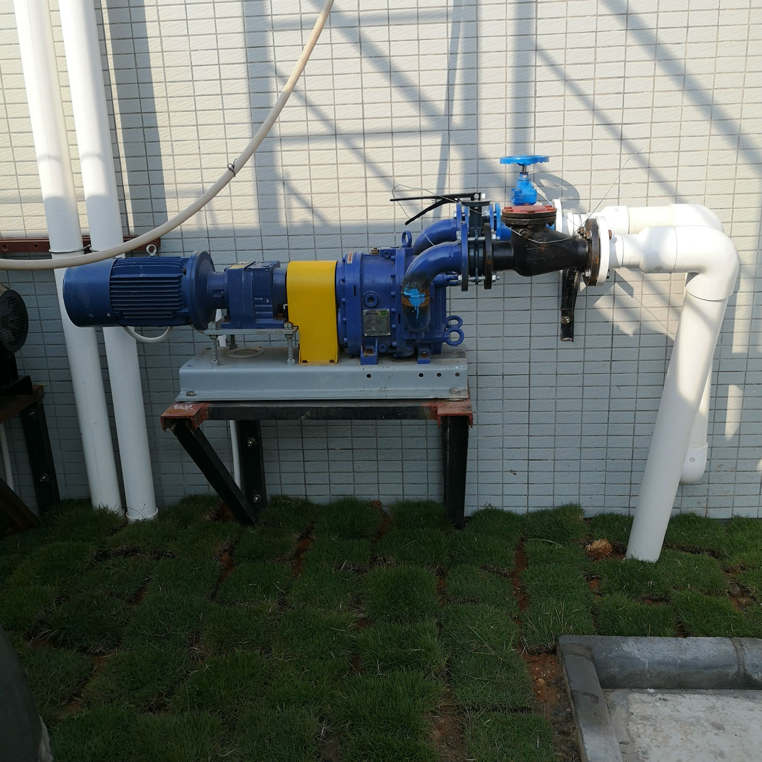 桃色在线视频观看 桃色在线视频观看