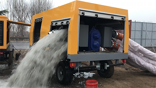 桃色视频在线看