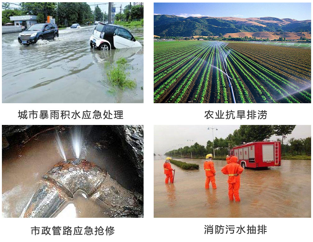 桃色视频在线看 桃色视频在线看