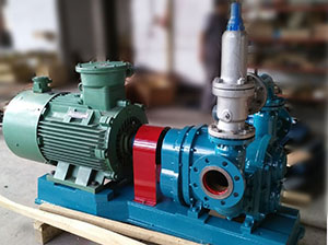 新疆凸輪桃色在线视频观看-含油汙泥輸送泵 新疆凸輪桃色在线视频观看-含油汙泥輸送泵