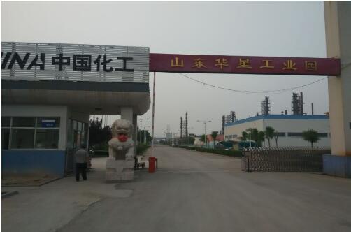 山東凸輪桃色在线视频观看-脫硫脫硝汙泥泵